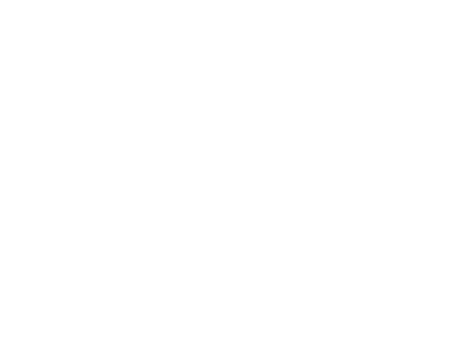 FA Nutrition